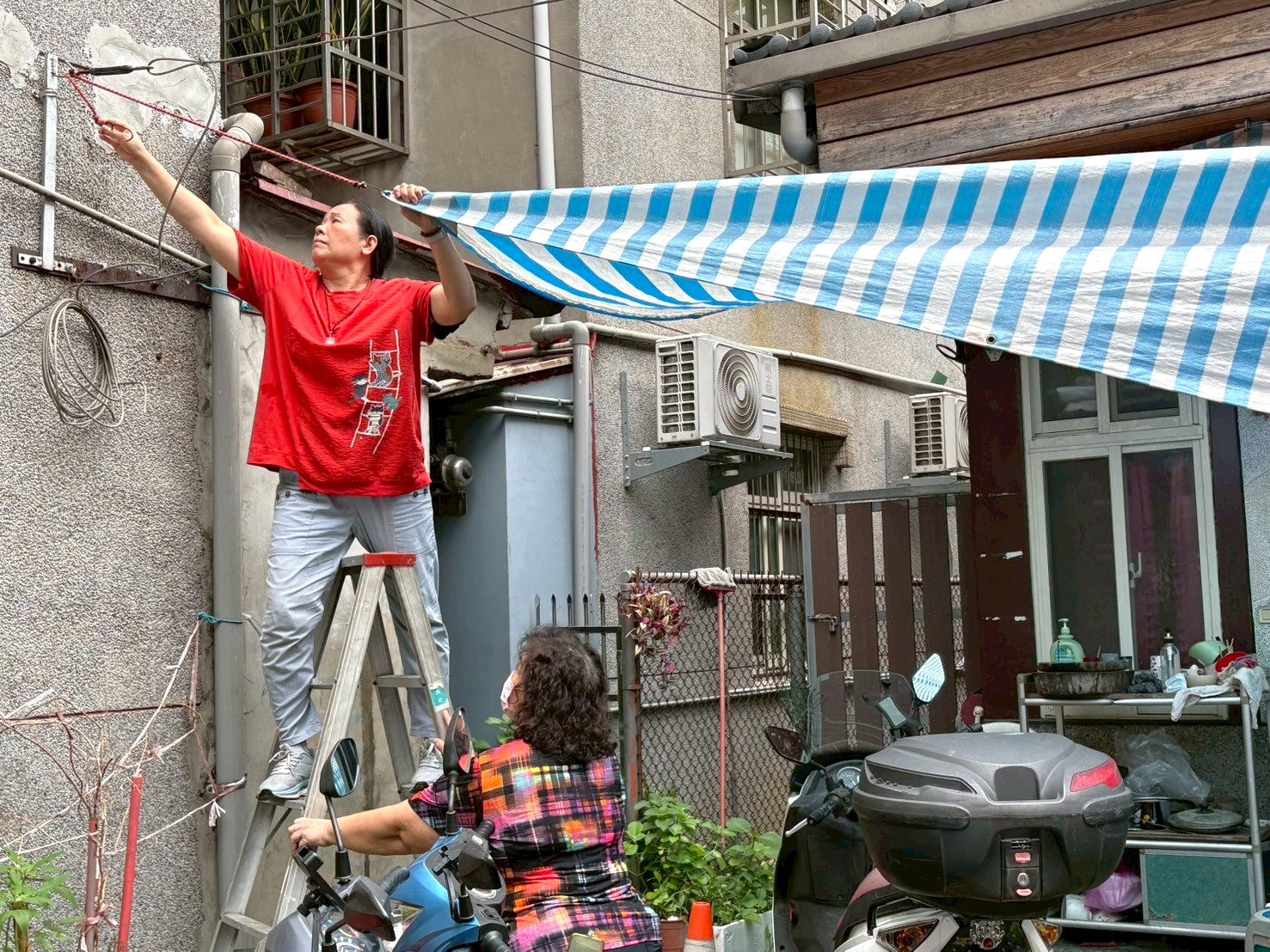 圖片來源:新北市政府